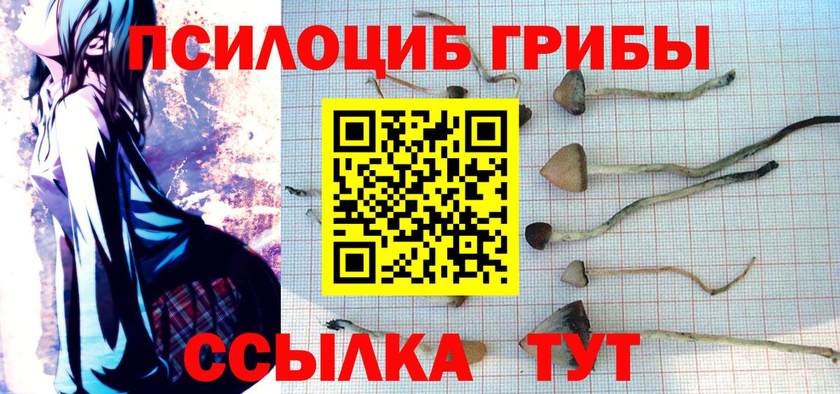 Лабытнанги  магазин продажи наркотиков  Вход с VPN  Псилоцибиновые грибы Psilocybe  Галлюциногенные грибы ЛСД 