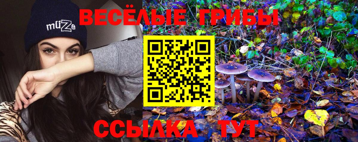 Галлюциногенные грибы мицелий Лабытнанги