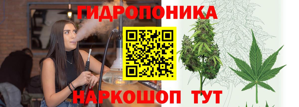 Бошки марихуана конопля Лабытнанги